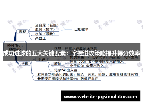 成功进球的五大关键要素：掌握进攻策略提升得分效率