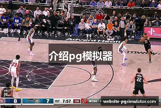 介绍pg模拟器